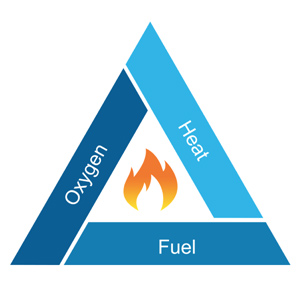 CFP_Newsletter_Article1_300x300_v1